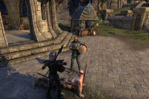 2 Men celebrating their love for eachother in ESO.